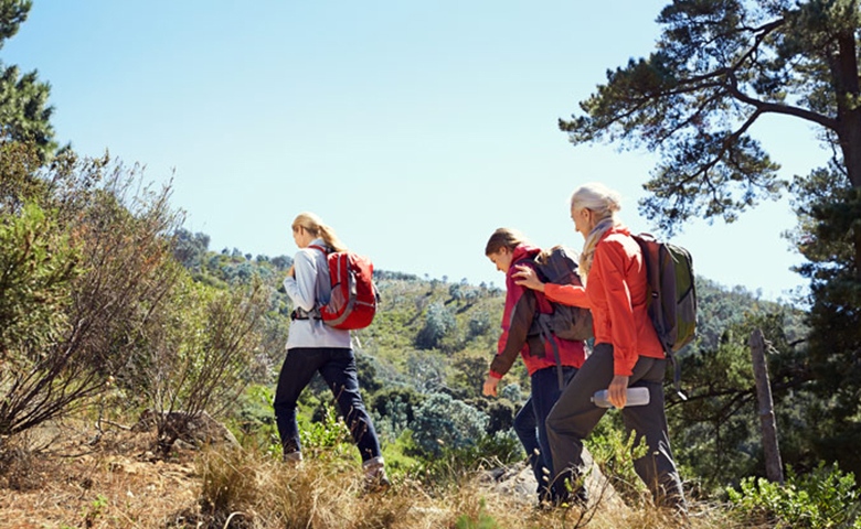 Kvinnor som vandrar i skog